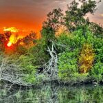 duck hunt in Nayarit Mexico