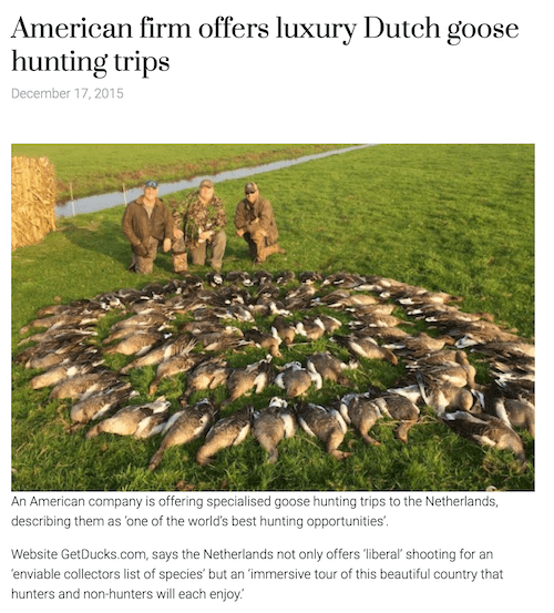 Dutch Goose Hunting as a tool for goose population control and avian influenza prevention--conservation strategy