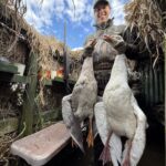 feral graylag geese among New Zealand's goose hunting bag