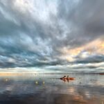 New Zealand duck hunt