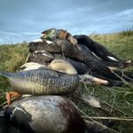 ramsey Russell'l travel decoy while duck hunting New Zealand