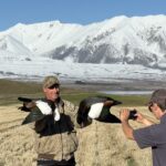 paradis shelduck trophies