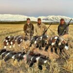 New Zealand duck hunt