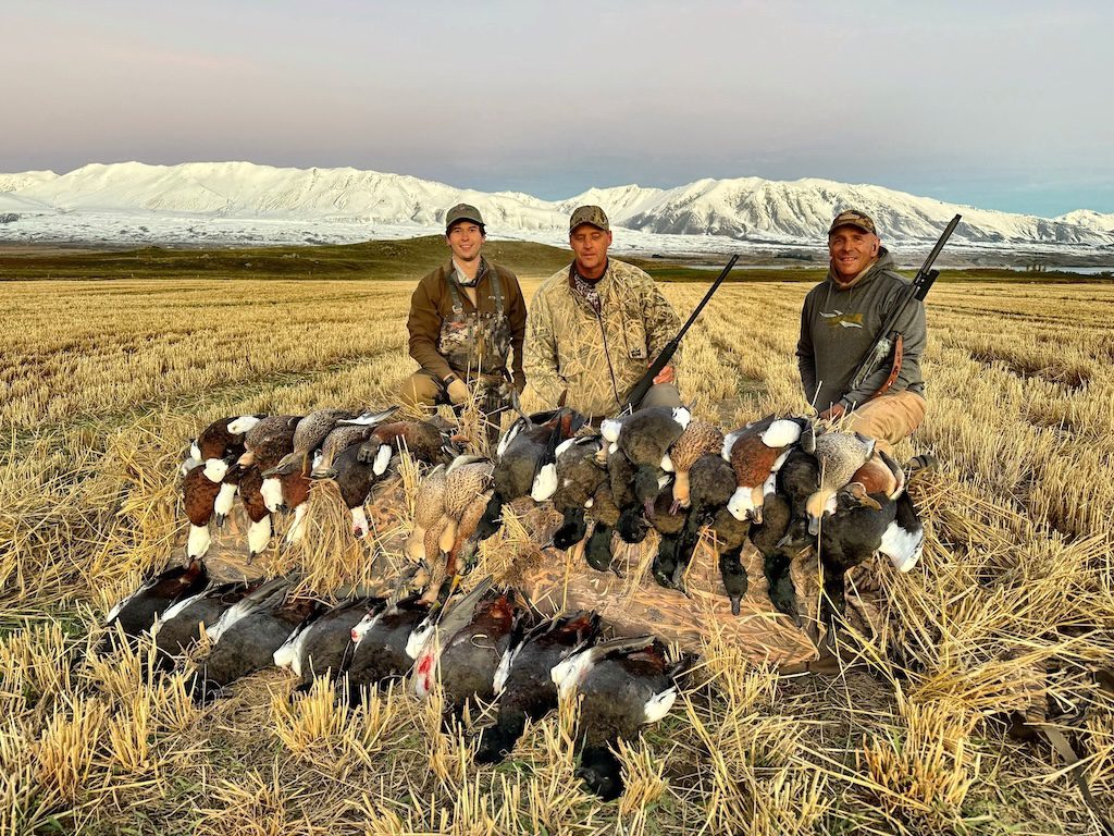 New Zealand duck hunt