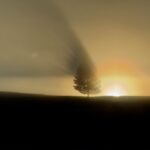 New Zealand duck hunting sunrise