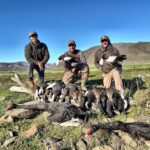 New Zealand duck hunting