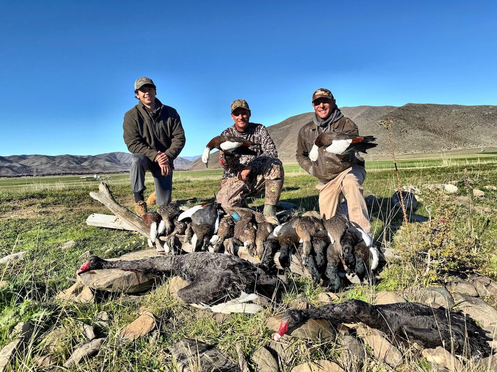 New Zealand duck hunting