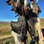New Zealand waterfowl hunts